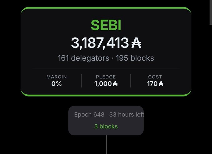 A dark-themed dashboard showing "SEBI" with 3,187,413 A tokens, 161 delegators, 195 blocks, 0% margin, 1,000 A pledge, 170 A cost, and Epoch 648 with 33 hours left.