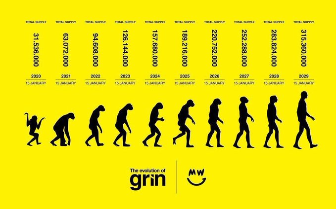 A yellow infographic titled 'The evolution of grin' by MW, showing the classic human evolution silhouette paired with the 'TOTAL SUPPLY' numbers from 31,536,000 in 2020 increasing to 315,360,000 in 2029.