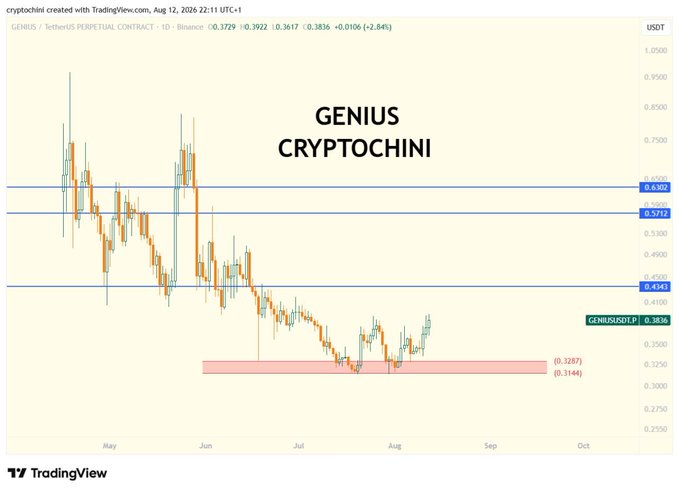 A TradingView candlestick chart for 'GENIUS / TetherUS PERPETUAL CONTRACT' with a watermark reading 'GENIUS CRYPTOCHINI', showing a bearish trend with the price at 0.3836 USDT, down 2.84%.