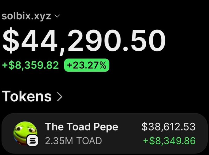 Screenshot of the wallet tracker solbix.xyz showing the token "The Toad Pepe" (2.35M TOAD) valued at $38,612.53 with a +$8,349.86 gain, alongside the wallet's total balance of $44,290.50 (+$8,359.82 or +23.27%), reflecting the massive ~206x profit on the original $224 investment in $TOAD.