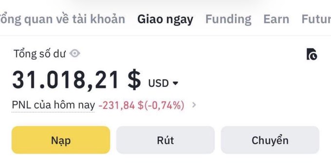 A Vietnamese-language crypto trading platform interface showing a total balance of '31.018,21 $ USD' with today's PNL at '-231,84 $ (-0,74%)', and buttons for 'Nạp' (Deposit), 'Rút' (Withdraw), and 'Chuyển' (Transfer).