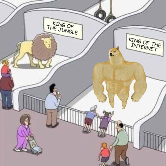 A cartoon meme showing a zoo exhibit where people ignore the "King of the Jungle" lion to crowd around a buff Shiba Inu dog labeled "King of the Internet."