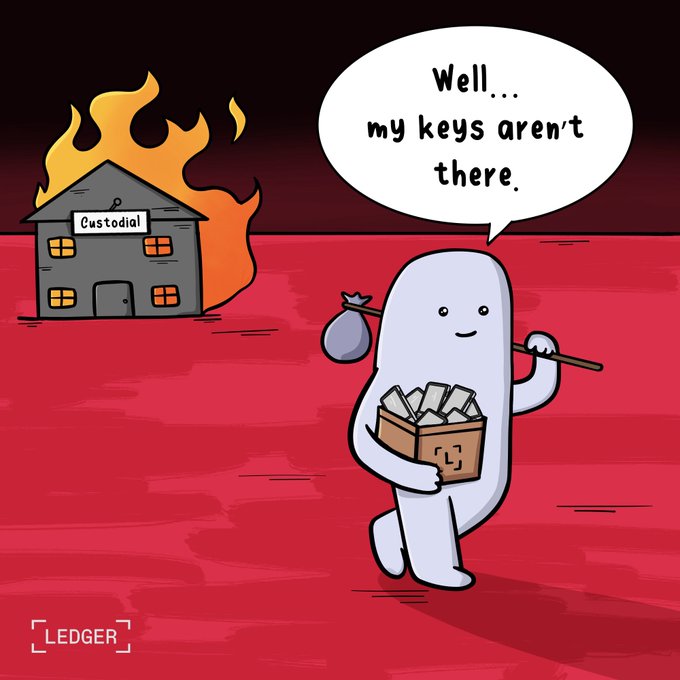 In this cartoon, a figure carries their keys and crypto assets away from a burning "Custodial" building, highlighting the risks of leaving your private keys in the hands of a third party. The Ledger logo in the bottom left reinforces the message about self-custody.