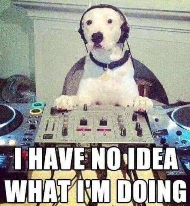 A classic internet meme featuring a white dog wearing headphones at a DJ mixing board, with bold text below reading 'I HAVE NO IDEA WHAT I'M DOING'.