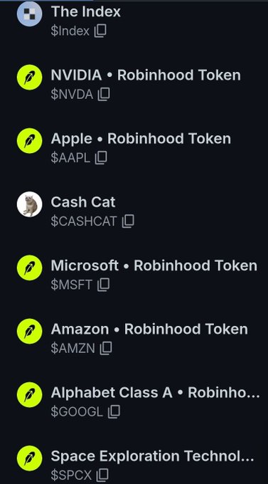 A list of tradable assets including 'Cash Cat' ($CASHCAT), 'NVIDIA' ($NVDA), 'Apple' ($AAPL), 'Microsoft' ($MSFT), 'Amazon' ($AMZN), 'Alphabet Class A' ($GOOGL), and 'Space Exploration Technologies' ($SPCX).