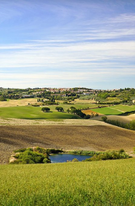 A serene countryside view shows a small pond nestled among green and yellow fields, with a town visible on the distant horizon under a bright blue sky. The peaceful rural landscape provides a calming backdrop for the cheerful Sunday "gm" greeting and giveaway announcement.
