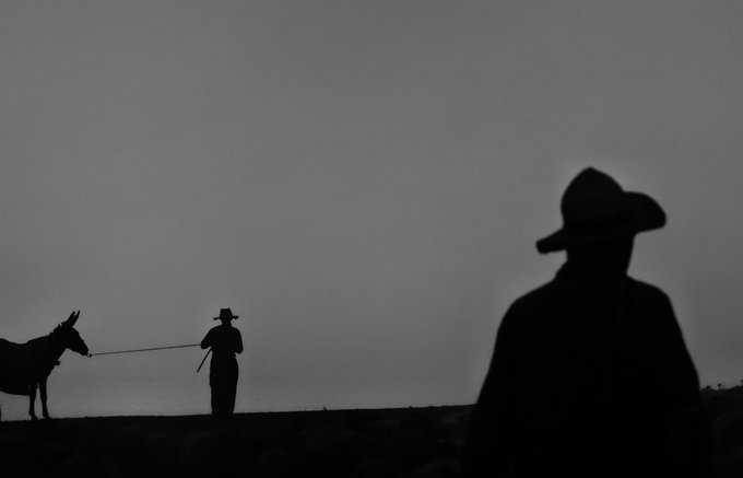 A black and white silhouette photograph showing two figures wearing cowboy hats in the distance, one leading a donkey or mule on a tether, with another larger silhouetted figure in the foreground against a pale sky.