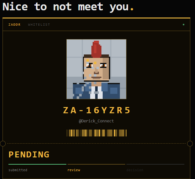 A pixel art style interface displays a character with a red mohawk under the text 'Nice to not meet you.', with a whitelist code 'ZA-16YZR5' and the handle '@Derick_Connect' marked as 'PENDING' review.