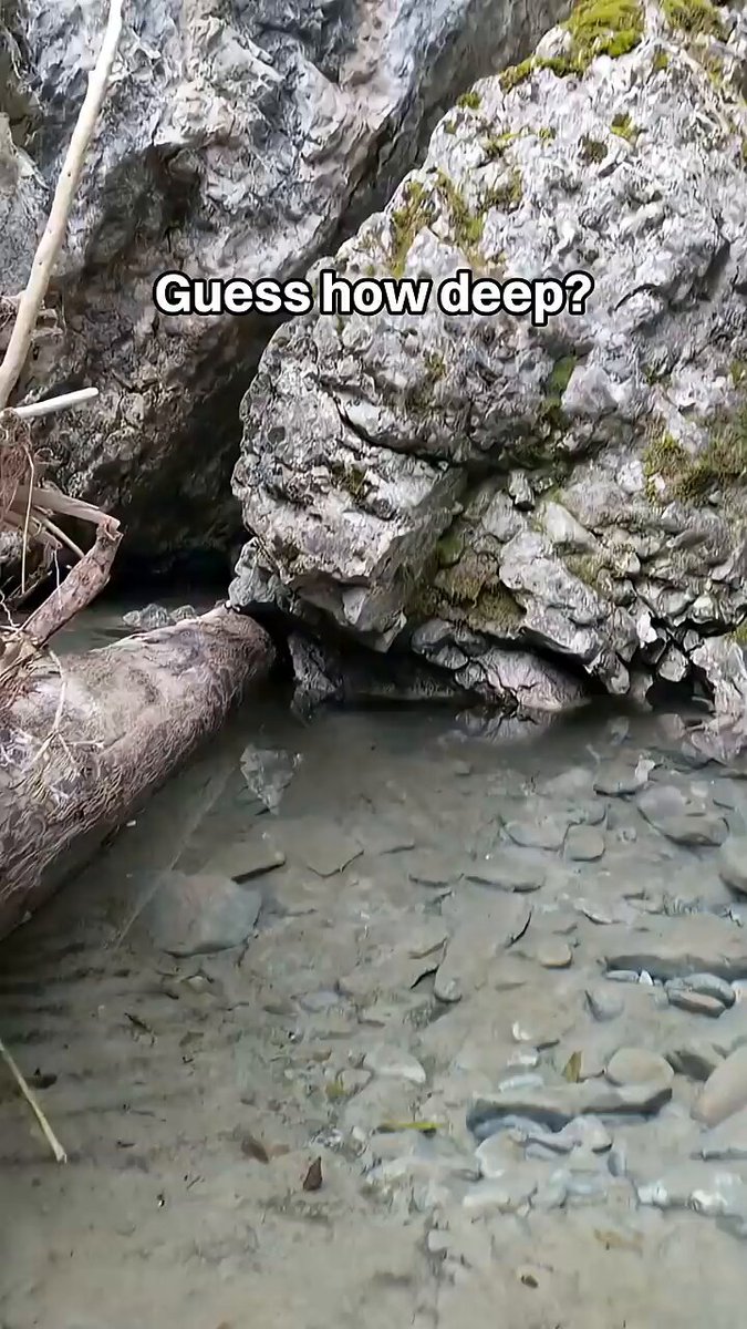 None
