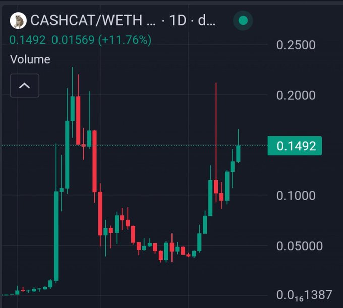 A candlestick chart shows CASHCAT/WETH at 0.1492 WETH (+11.76%), reclaiming its prior local high of ~0.15 from the early spike and confirming the breakout above that resistance level referenced in the post. The post's claim about strong inflows and trading above the local high is visually validated by the recent cluster of green candles pushing back into the prior peak range.