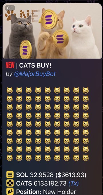 A digital collectible card titled "NEW | CATS BUY!" by @MajorBuyBot, featuring images of cats with coin symbols, pricing details "SOL 32.9528 ($3613.93)", "CATS 6133192.73 (Tx)", and "Position: New Holder".