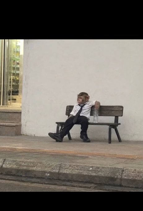 A young boy dressed in a shirt and tie sleeping or resting on a wooden bench outside a building at night.
