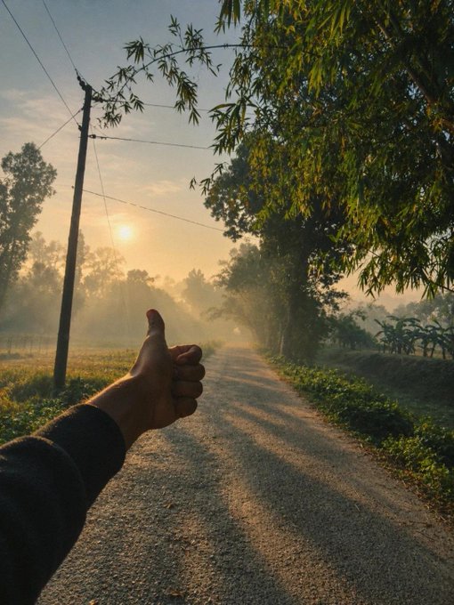 A first-person view of a hand giving a thumbs-up on a misty dirt road at sunrise, lined with trees and a utility pole.