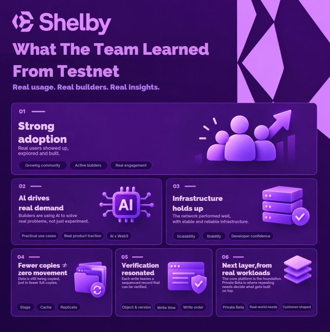A Shelby project infographic titled 'What The Team Learned From Testnet' highlights six key insights including strong adoption, AI driving real demand, infrastructure stability, fewer copies, verification success, and the next layer.