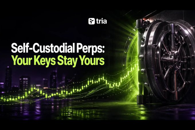 The image features a large, green armored safe with a silver wheel attached to its side. The text "Self-custodial Perps" is displayed above the safe, along with the phrase "Your keys Stay Yous". This suggests that the safe's owner has taken measures to protect their valuable items and ensure they remain secure in case of any unforeseen circumstances or emergencies.