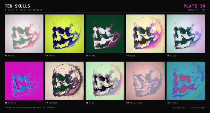 An art series titled 'TEN SKULLS - A STUDY OF COLOR AND TEXTURE, PLATE IV' displaying ten different color and texture treatments (T1-T10) of a distorted skull image, labeled with names like 'HOUSE', 'HARD', 'STACK', 'BURN', and 'CHAOS'.