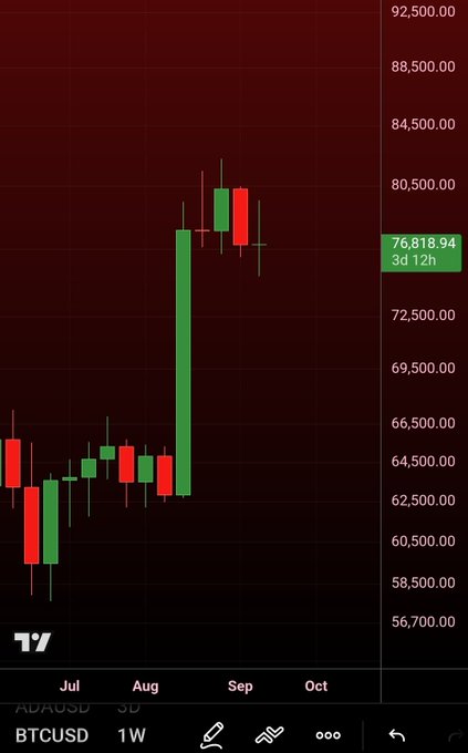 A candlestick chart of BTCUSD on a weekly timeframe shows Bitcoin trading at $76,818.94, with a sharp green rally pushing price from around $62,500 to highs near $80,500 before a slight pullback, countering bearish predictions of a drop to $50k.