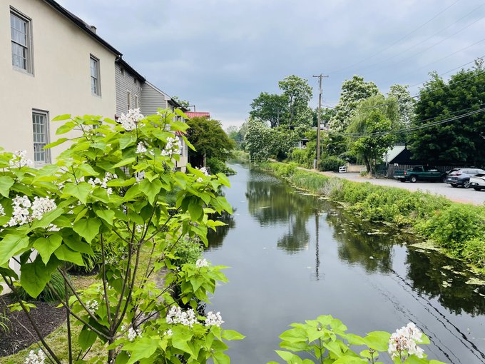 A tranquil canal or river runs through a small town, flanked by a light-colored building and white blooming lilac bushes on one side, and lush green trees with parked vehicles on the other.