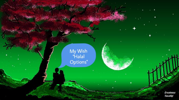 An illustrated artwork with a green starry sky features a couple under a red tree with a speech bubble saying 'My Wish Halal Options,' signed 'Greatness Yaaadil!'