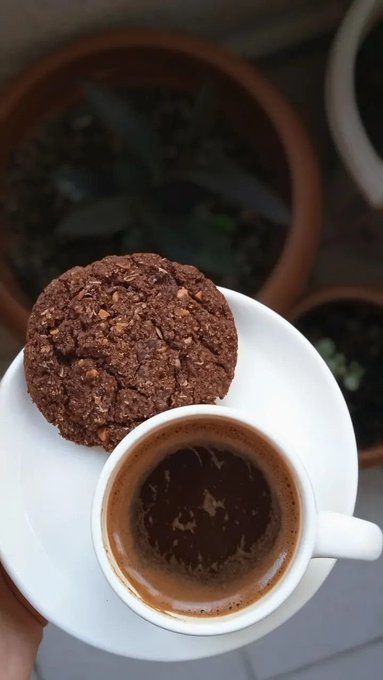 A top-down view of a white cup of espresso coffee served on a saucer with a chocolate cookie or biscuit, held over a garden setting.