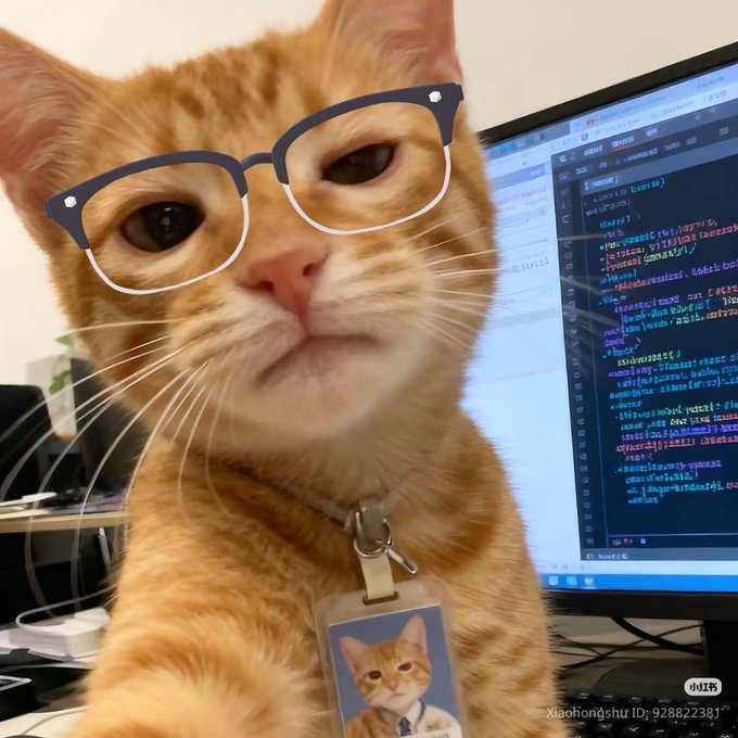 An AI-generated or edited image shows an orange tabby kitten wearing digital glasses and a badge, sitting in front of a monitor displaying code.