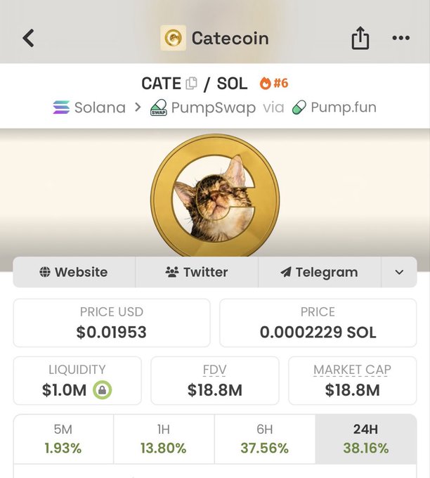 A screenshot of the Catecoin (CATE/SOL) token page on the Solana blockchain via PumpSwap and Pump.fun, showing a price of $0.01953 USD, $1.0M liquidity, and an $18.8M market cap with significant gains across all timeframes (+1.93% in 5M, +13.80% in 1H, +37.56% in 6H, +38.16% in 24H). The image aligns with the celebratory post, visually supporting the claim that CATE is "sending" with its strong upward momentum and substantial market cap.