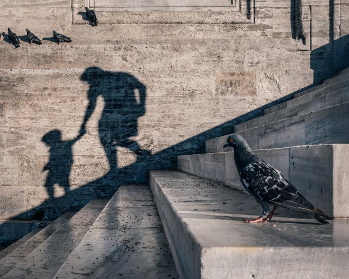 A pigeon stands on concrete steps while the shadows of a woman and child are cast against a stone wall, with other pigeons perched above.