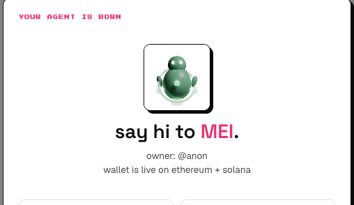 A minimalist white screen announcing 'YOUR AGENT IS BORN' with a green robot icon, reading 'say hi to MEI,' owner: @anon, wallet is live on ethereum + solana.