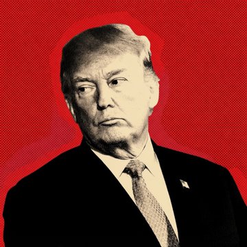 The image shows a stylized, high-contrast portrait of Donald Trump in a dark suit and tie against a vivid red halftone background, accompanying a quote where he expresses support for cryptocurrency, calling it "a big deal" and suggesting Bitcoin adoption reduces pressure on the U.S. dollar.