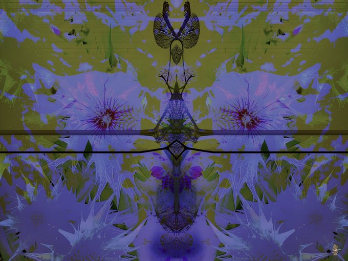 A symmetrical, mirrored image featuring purple flowers and green foliage, possibly reflected on a car hood given the visible horizontal line.