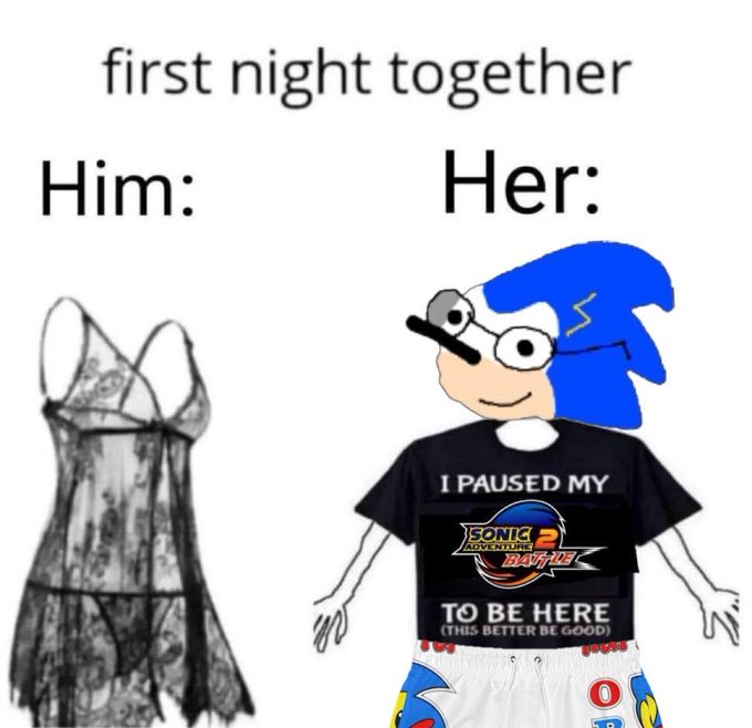 A "first night together" meme contrasts "Him" wearing a lacy lingerie slip with "Her" depicted as the "Sonichu" character wearing a t-shirt reading "I PAUSED MY SONIC ADVENTURE 2 BATTLE TO BE HERE (THIS BETTER BE GOOD)" and Sonic-themed shorts.