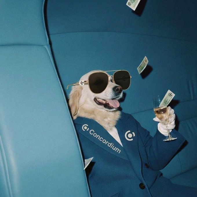 A golden retriever wearing sunglasses and a blue 'Concordium' blazer sits in a blue seat, holding a champagne glass with money floating in the air.