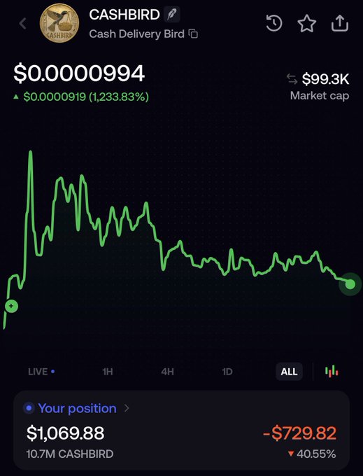 A portfolio tracking screenshot showing a CASHBIRD position of $1,069.88 (down -$729.82 or -40.55%) with 10.7M tokens held, displayed alongside an "ALL" timeframe chart showing the token's all-time price history with massive early volatility followed by a long downtrend—visually reinforcing the poster's "no bottom yet" thesis that despite holding a losing meme position, they feel no pressure about its long-term $10-$100 potential.