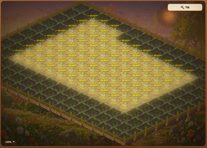 A screenshot of a video game showing a farming grid where every plot displays the text "✓ READY" indicating crops are ready to harvest, with a "TILL" button visible in the upper right corner.