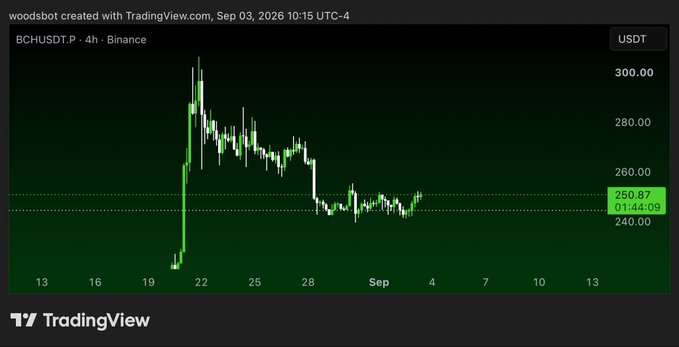 The image is a TradingView candlestick chart of **BCHUSDT** (Bitcoin Cash) on Binance in 4-hour intervals, showing a sharp rally near August 22 to ~300+ USDT followed by a consolidation phase around 250.87 USDT (timestamped 01:44:09) with a dashed support line near 240.00 USDT — illustrating how BCH has maintained strong support at the ~240-250 range despite the broader pullback, aligning with the post's claim of early-month resilience.