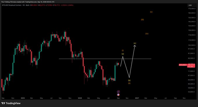 A TradingView weekly chart of BTCUSD on Bybit shows Bitcoin's price action with a white projected wave count, illustrating a likely (c) wave rally from a (b) bottom near $55,000 toward the (iv) level around $125,000, alongside labeled wave structures (i), (ii), (iii), (iv), and (v) reaching toward $160,000+, supporting the post's macro bullish thesis on Bitcoin.