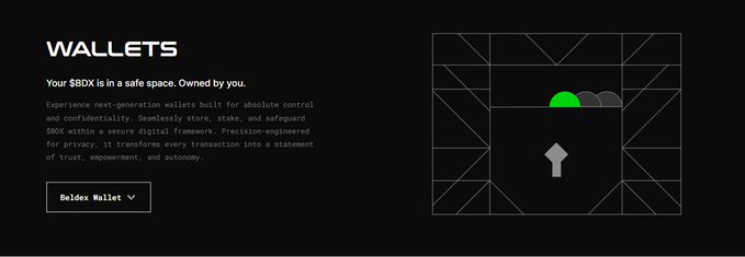 A dark-themed digital advertisement for 'WALLETS' promotes a DeBox Wallet, stating 'Your $BDX is in a safe space. Owned by you.' with minimalist geometric graphics.