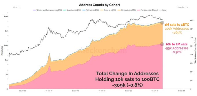 This chart titled "Address Counts by Cohort" tracks Bitcoin address distribution from January 2018 to January 2025, showing that the total addresses holding 10k to 100 BTC declined by ~309k (-0.8%), with the 10k to 1M sat cohort dropping ~99k addresses (-0.38%) and the 1M to 1BTC cohort losing ~202k addresses (-1.69%). The visualization supports the post's claim by illustrating how large-holder cohorts (pink and orange areas representing higher BTC holdings) have been steadily selling off, mirroring the cohort composition that accumulated at lower prices and is now distributing, consistent with the narrative that wallets accumulating near $120K are exiting near $64K.