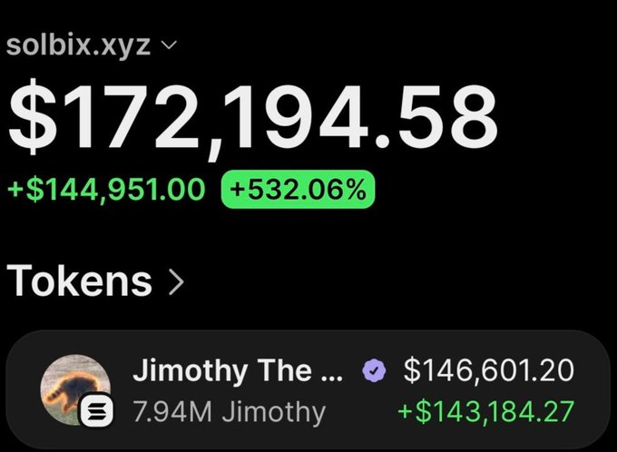This image shows a crypto wallet balance of $172,194.58, with a total profit of $144,951.00. The specific token highlighted is "Jimothy" with 7.94M tokens valued at $146,601.20 and a profit of $143,184.27.