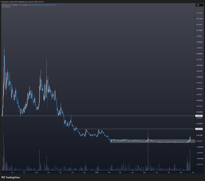 A dark-themed TradingView candlestick chart of NameSpace Coin on Raydium CL/USDT, showing price action from August 2024 through August 2025 with a notable downtrend followed by a recent consolidation near $0.001.