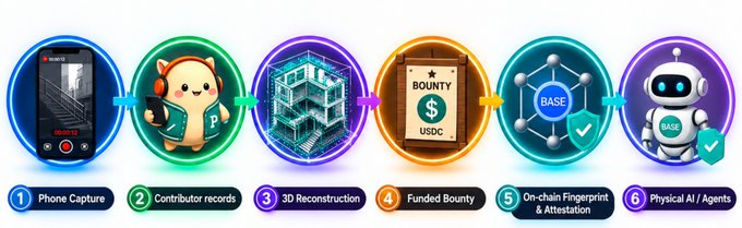 A six-step infographic process flow with numbered circular icons: 1) Phone Capture (showing a smartphone recording), 2) Contributor records (a hamster/mascot character with a P logo), 3) 3D Reconstruction (a wireframe cube), 4) Funded Bounty (a USDC poster with bounty text), 5) On-chain Fingerprint & Attestation (BASE network icon with checkmark), and 6) Physical AI / Agents (a robot with BASE checkmark).