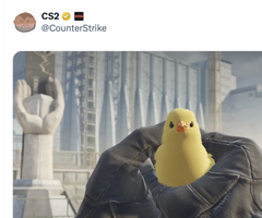 A CS2 tweet from @CounterStrike features a player holding a yellow rubber chicken, humorously referenced in the post as the speaker's choice over "CS Roobet." The chicken symbolizes a playful preference for the rubber duck/chicken easter egg over the gambling platform.
