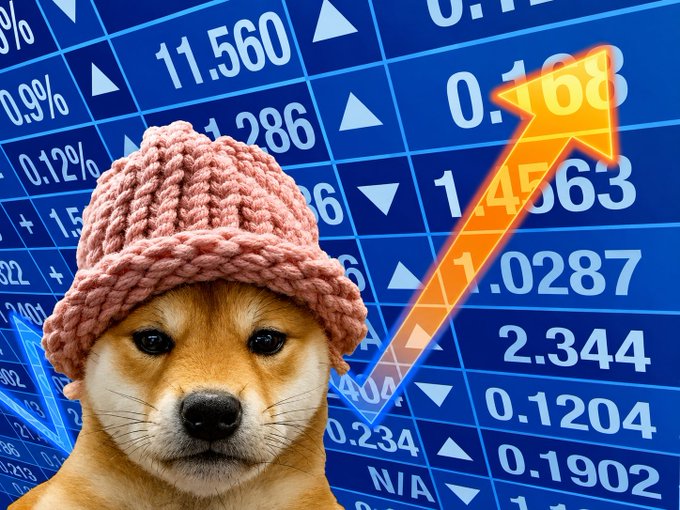 A humorous internet meme featuring a Shiba Inu dog wearing a pink knitted beanie, superimposed over a blue stock market ticker background with an orange upward-trending arrow.