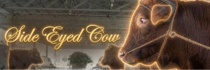 The banner features a close-up of a brown cow with a sideways glance, accompanied by the elegant script text "Side Eyed Cow" — a fitting visual representation for the Solana token ticker $SEC, playfully tying the bovine's skeptical side-eye expression to the token's symbol.