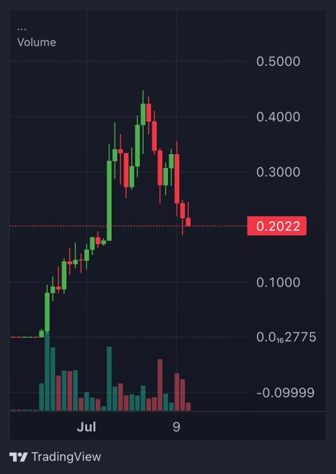 This TradingView chart displays the price action for $ANSEM between July 7th and July 9th, showing a speculative downtrend after a rapid increase, with a current price around $0.2022.