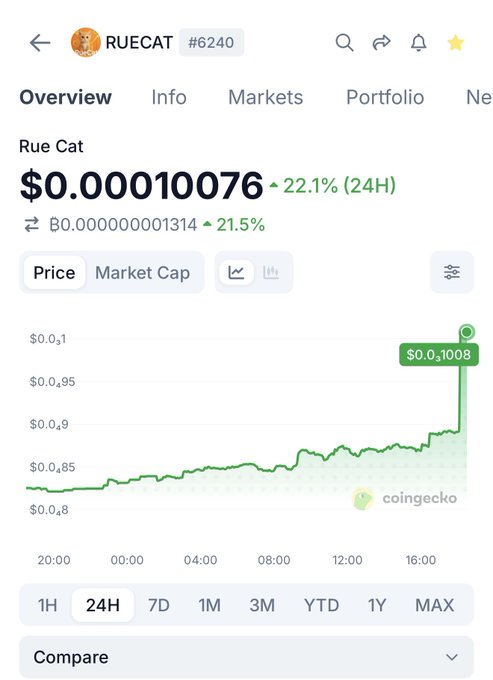 A CoinGecko price chart for 'RUECAT' token (#6240) showing a 24H price of $0.00010076 with a 22.1% increase.