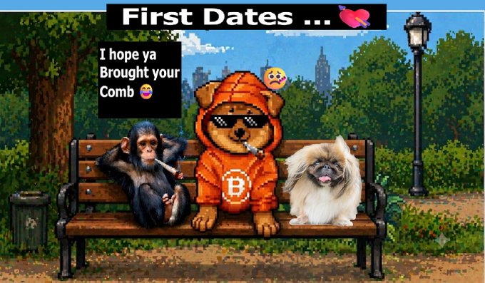 A pixel-art meme titled 'First Dates' showing a monkey, a dog in a Bitcoin hoodie, and a Pekingese sitting on a park bench, with a speech bubble saying 'I hope ya Brought your Comb'.