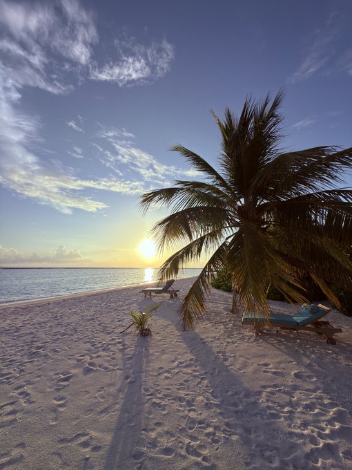 A tropical beach scene at sunset features a leaning palm tree, two wooden lounge chairs, and footprints in the sand along the shoreline.