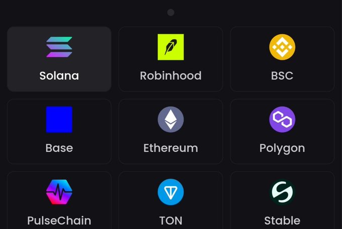 A dark interface displaying a grid of cryptocurrency network logos and names including Solana, Robinhood, BSC, Base, Ethereum, Polygon, PulseChain, TON, and Stable.