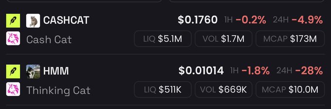 A cryptocurrency price tracker showing 'CASHCAT' at $0.1760 (down 4.9% in 24H) and 'HMM' (Thinking Cat) at $0.01014 (down 28% in 24H) with their liquidity, volume, and market cap stats.